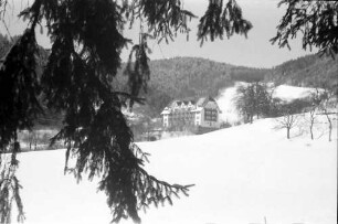 Glotterbad: Sanatorium; Blick zum Sanatorium; Vordergrund Tannenast