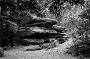St. Odile: Beckenfelsen im Wald