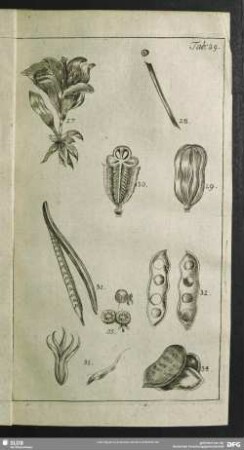 Tab. 39.