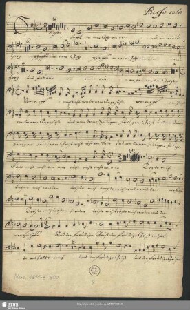 Basso solo