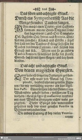 Das acht und achtzigste Stuck. Von denen magischen Spieglein