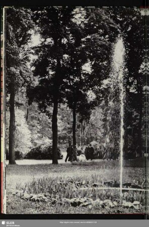56 Im Brühl