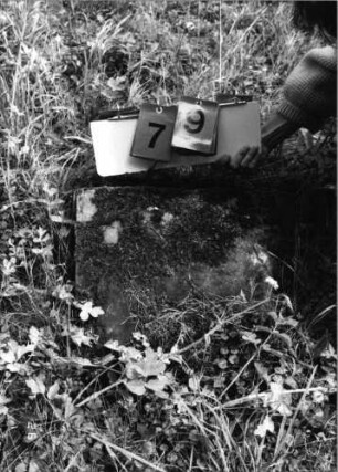Grabstein 79