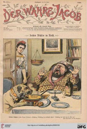 Nr. 311 (21. Juni 1898)