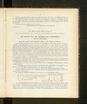 B. Spezial-Berichte über die Thätigkeit der einzelnen Abtheilungen und ihre Arbeiten.