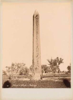 Obelisk Sesostris I., Heliopolis: Ansicht