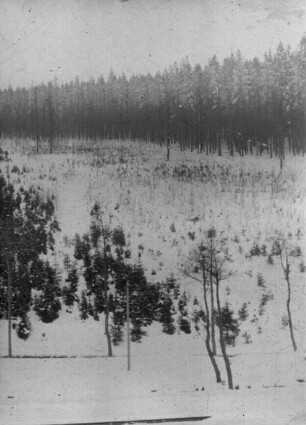 Landschaft