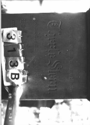 Grabstein 313 (Index: 99609950) Material: Sandstein Zustand: leicht, am Sockel stark verwittert Maße HxBxT: 248x72x36 cm Beschreibung: Stele, Abdeckplatte, Volutenaufsatz, Seitenakrotere, Mittelpalmette, Schriftfeld eingetieft, getreppter Sockel, darauf gekreuzte Palmzweige Symbolik: Voluten, Palmette, gekreuzte Palmzweige: Grabstein 313B