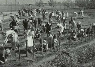 67. Volksschule. Schulkinder bei der Arbeit im Schulgarten