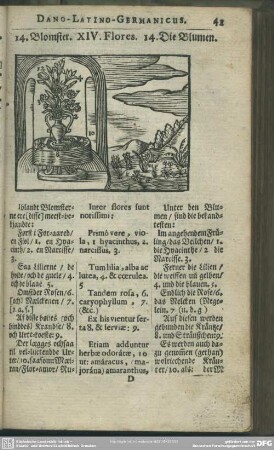 XIV. Flores