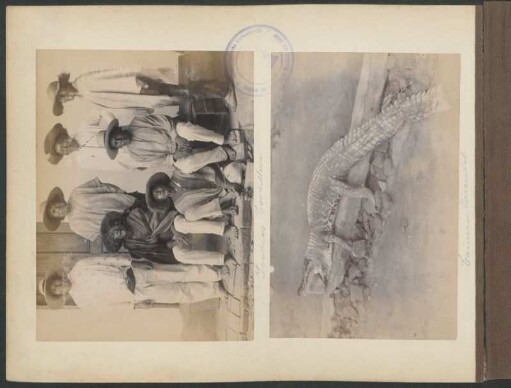 Indios Cordillera [y] Caimán Oriental