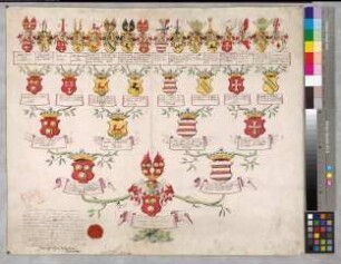 Proband: Spiegel, Sophia Friederika Amalia von; Vater: Spiegel, Raban Heinrich von; Mutter: Rhoeden, Eleonora Dorothea von: [Minden, Stift St. Marien]