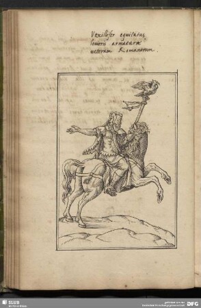 Vexillifer equitatus lenioris armaturae ueterum Romanorum.