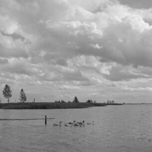 Ostsee in Usedom.