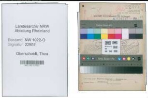 Entnazifizierung Thea Oberscheidt , geb. 19.09.1908 (Kauffrau)