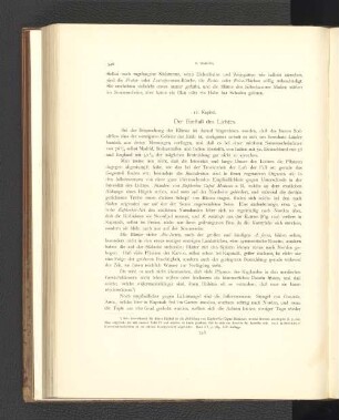 12. Kapitel. Der Einfluß des Lichtes.