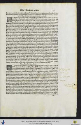 Incipit liber decimus tertius…
