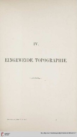 IV: Eingeweide. Topographie