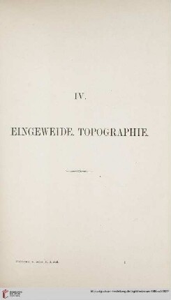 IV: Eingeweide. Topographie