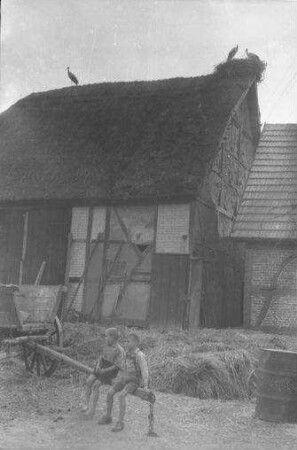 Rom, Kreis Parchim: Haus mit Störchen