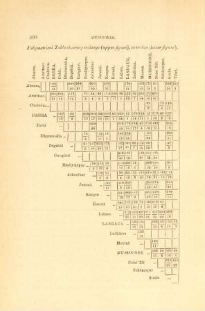 Polymetrical table showing mileage (upper figure), marches (lower figure)