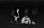 Scala: Granjou Bros und Juanita; Wurfnummer