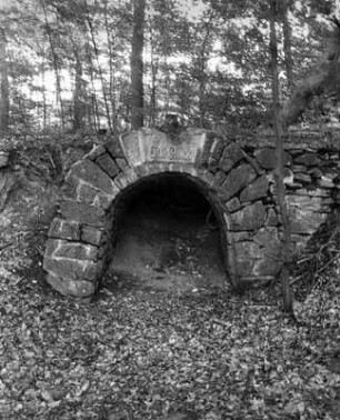 Stollenmundloch der Grube Gutglück; Braunfels, Herrenhag (beim Lahnbahnhof)