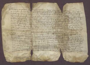 Kurfürst Ludwig IV. von der Pfalz konfirmiert den Städten Oppenheim, Odernheim, Schwabsberg, Nierstein und Dexheim ihre Privilegien.