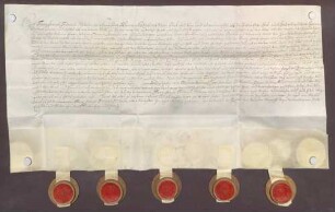 Instrumentum cautionis des Franz Friedrich Sturmfeder von Oppenweiler.