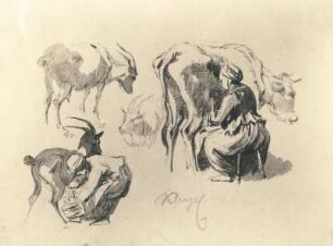 Kuh- und Ziegenmelken : Klengel-Album von Kirchbach. Kuh- und Ziegenmelken. Bleistiftzeichnung und Sepia (vor 1824; J. C. Klengel)