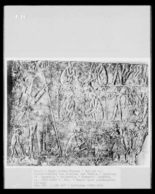 Relief mit Konservierung von Fischen und Vögeln