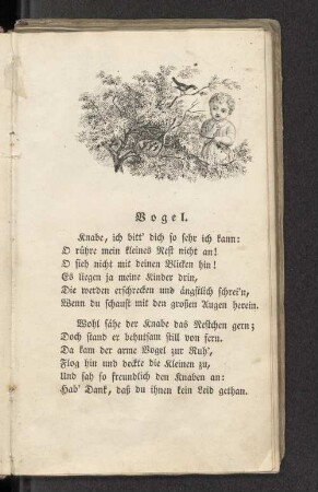 Vogel.