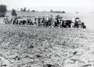 Kartoffelernte in der Oberlausitz : Land- und Viehwirtschaft - Hackfruchternte. Ort: Hornja Łužica / Oberlausitz. Kartoffelernte mit Kombinen