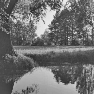 Landschaftsbild. Fließgewässer im Spreewald. : Wobraz krajiny. Groble w Błótach.