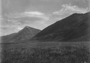 Grasland : Grasland vor einer Hügelkette im Tian Shan Hochgebirge