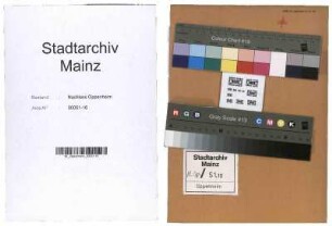 Reichsvereinigung der Juden in Deutschland und Jüdische Kultusvereinigung "Israelitische Religionsgemeinde Mainz"