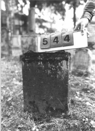 Grabstein 544 (Index: 99787914) Material: Sandstein Zustand: verwittert mit vollständigem Textverlust Maße HxBxT: 52x35x8 cm: Grabstein 544