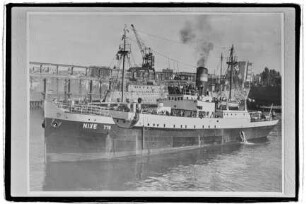 Nixe (1910), Neptun.- Dampfschifffahrts-Gesellschaft „Neptun“, Neptun Linie, D.G. "Neptun", Bremen