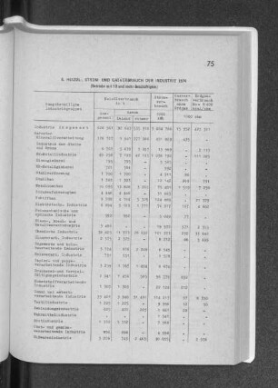 6. Heizöl-, Strom- und Gasverbrauch der Indsutrie 1974