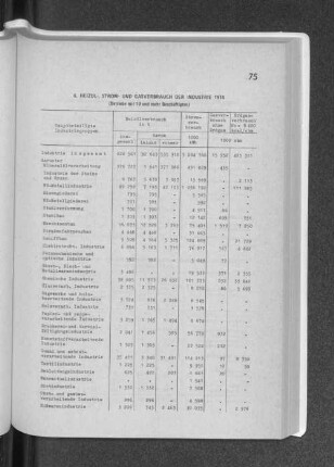 6. Heizöl-, Strom- und Gasverbrauch der Indsutrie 1974