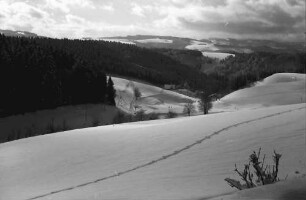 St. Märgen: Fernsicht