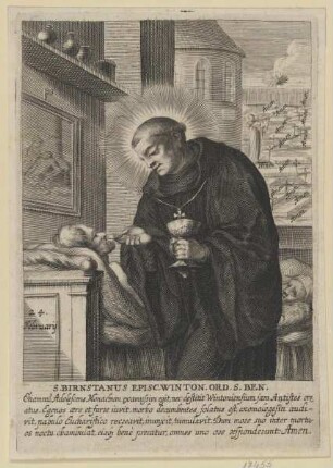Bildnis des S. Birnstanus