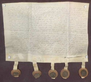 Instrumentum probationis des Lothar Ferdinand von Metternich-Müllenarck.