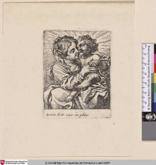[Maria mit dem Kind auf dem Arm; Virgin and Child, half-length, turned right]