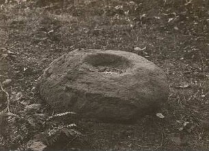 Stauchitz. Schloßpark. Opferstein