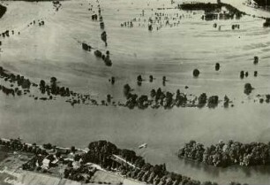 Dessau-Leopoldshafen : Dessau, Leopoldshafen bei Hochwasser