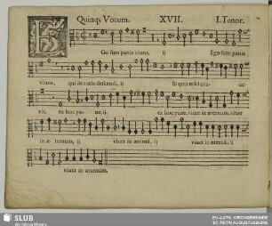 XVII. Ego sum panis vivus