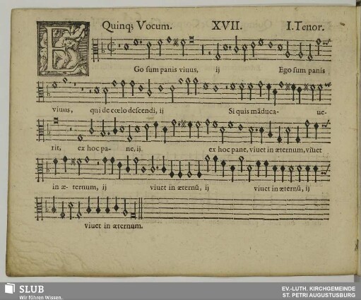 XVII. Ego sum panis vivus