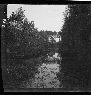 [Biache-Saint-Vaast (Dep. Pas-de-Calais, Frankreich):] Weiher an der Scarpe [= Fluss in Nordfrankreich]