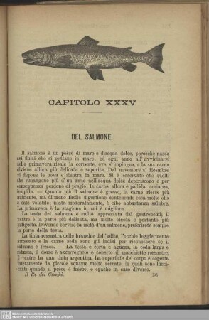 Capitolo XXXV. Del salmone